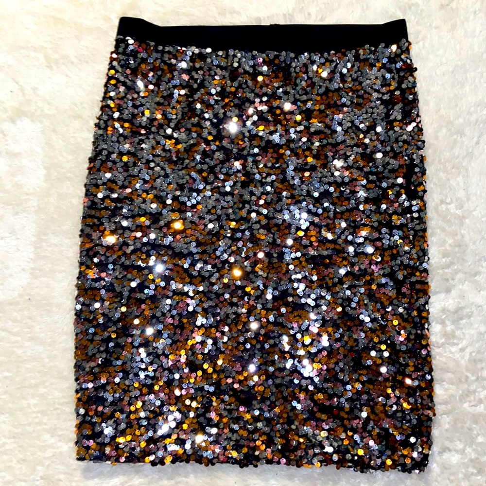 Sequin Skirt